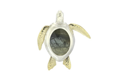 Turtle 3